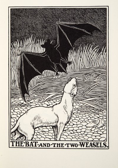De vleermuis en de twee wezels, uit Fontaine Fabels, uitgegeven 1905 door Percy J. Billingshurst