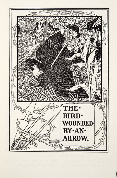 De vogel gewond door een pijl, uit Fontaine Fabels, uitgegeven 1905 door Percy J. Billingshurst