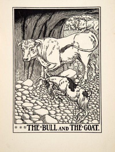 De Stier en de Geit, uit Honderd Fabels van Aesopus, uitgegeven 1903 (gravure) door Percy J. Billingshurst