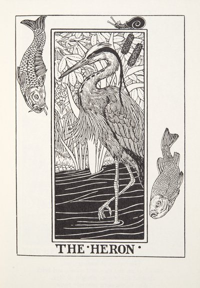 De reiger, uit Fontaine Fabels, uitgegeven 1905 (gravure) door Percy J. Billingshurst