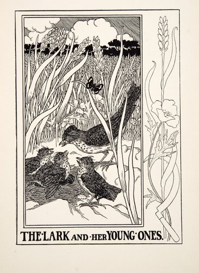 De leeuwerik en haar jongen, uit A Hundred Fables of Aesop, uitgegeven 1903 (gravure) door Percy J. Billingshurst