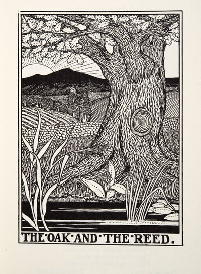 De eik en het riet, uit Fontaine Fabels, uitgegeven 1905 door Percy J. Billingshurst