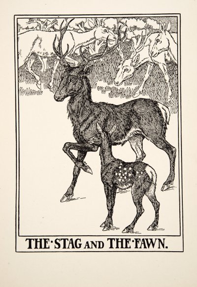 Het hert en het hertenkalf, uit Honderd fabels van Aesopus, uitgegeven 1903 door Percy J. Billingshurst