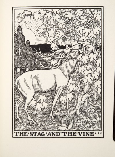 Het Hert en de Wijnstok, uit Fontaine Fabels, uitgegeven 1905 door Percy J. Billingshurst
