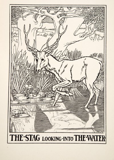 Het Hert dat in het Water kijkt, uit Honderd Fabels van Aesopus, uitgegeven 1903 (gravure) door Percy J. Billingshurst