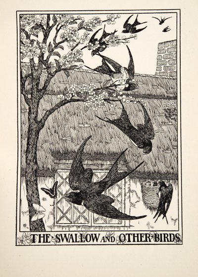 De zwaluw en andere vogels, uit Honderd fabels van Aesopus door Percy J. Billingshurst