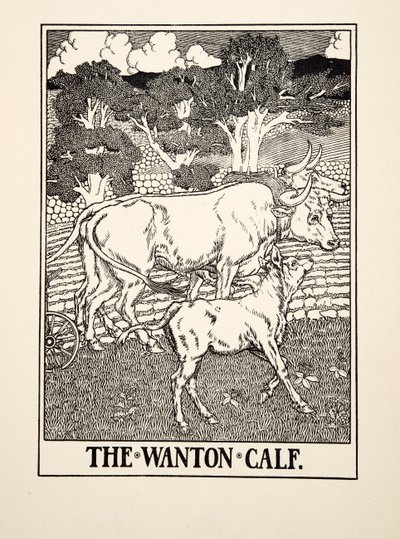 Het wellustige kalf, uit Honderd fabels van Aesopus, uitgegeven 1903 door Percy J. Billingshurst