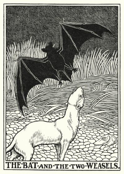 Fabels van La Fontaine: De vleermuis en de twee wezels door Percy James Billinghurst