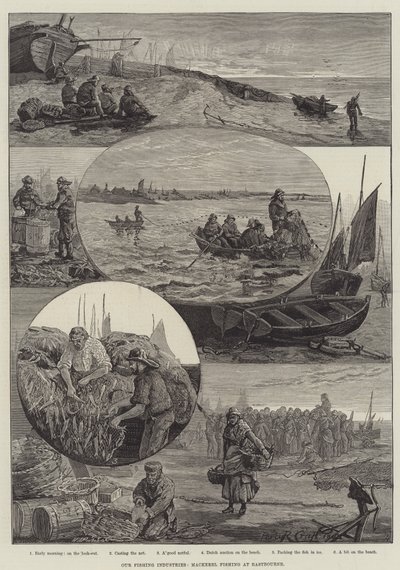 Onze visserij-industrieën, makreelvissen in Eastbourne (gravure) door Percy Robert Craft