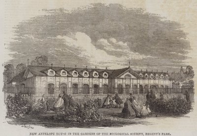 Nieuw antilopenhuis in de tuinen van de Zoological Society, Regent