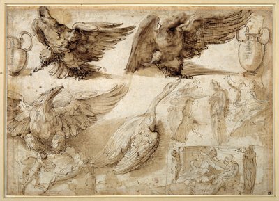 Studies van een adelaar, een gans, een kruik, een pot en menselijke figuren waaronder twee voor een Verkrachting van Lucretia door Perino del Vaga