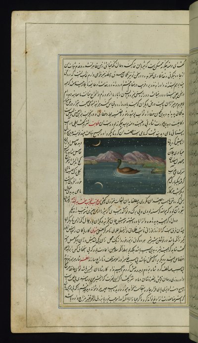 Een gans en een weerspiegeling van de maan in het water uit Lichten van Canopus door Persian School