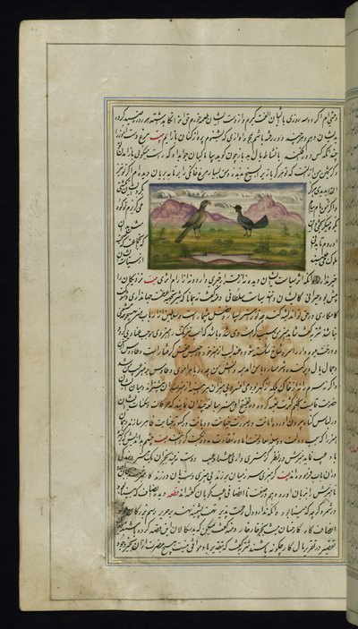 Een havik en een hen uit Lichten van Canopus door Persian School