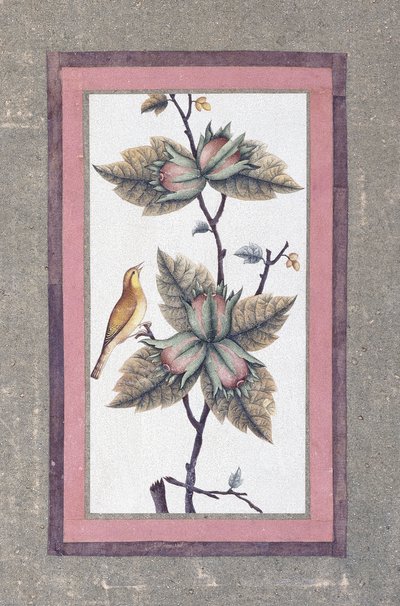 Vogel- en bloemenstudie, ca. 1780 door Persian School