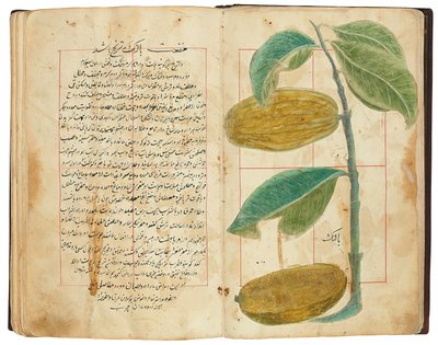 Hassan Bin Baqir Bin Jarrah: Gulzar Al-Rayahin, Qajar Iran door Persian School