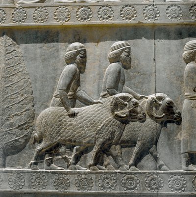 Sogdiërs brengen geschenken aan Darius I. Reliëfs van de oostelijke trap van de Apadana, 6e eeuw v.Chr. door Persian School