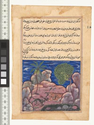 Verhaal XV, De kat valt de muizen aan die de leeuw storen, illustratie uit de "Tuti-Nama" door Persian School