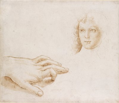 Studies van een hoofd en een hand, laat 15e-begin 16e eeuw door Perugino