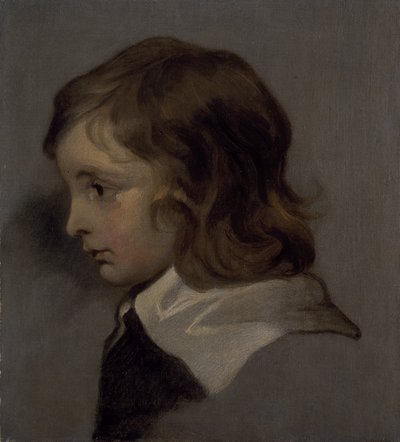 Hoofd van een jonge jongen door Peter (follower of) Lely