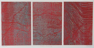 Drieluik in rood en grijs door Peter A Ford