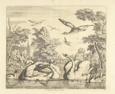 Drie zwanen en andere vogels bij een vijver door Peter Casteels (III)
