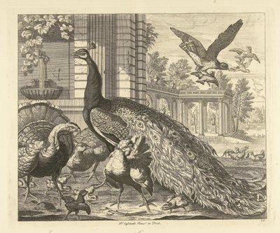 Pauw en kalkoen bij een tuincolonnade, uit de serie Verschillende vogels door Peter Casteels (III)