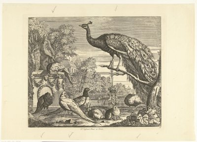 Pauw, konijnen en andere vogels bij een tuinfontein Verschillende vogels (serie) door Peter Casteels (III)