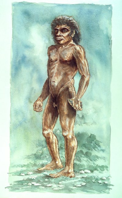 Boxgrove Man, Prehistorisch, 1990-2010 door Peter Dunn