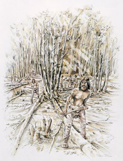 Gebruik van vuursteen - hakhout, prehistorisch, ca. 1990-2010 door Peter Dunn
