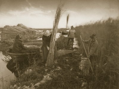 Tijdens de Rietoogst, Leven en Landschap op de Norfolk Broads, ca. 1886 door Peter Emerson und Thomas Goodall