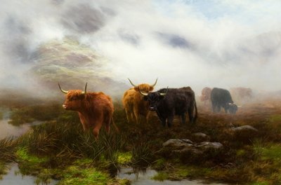 Heide en Mist door Peter Graham