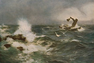 De Inchcape Rots door Peter Graham