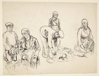 Bietenrooiers. Studieblad door Peter Hansen