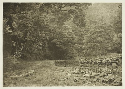 A Quiet Nook in Beresford Dale door Peter Henry Emerson
