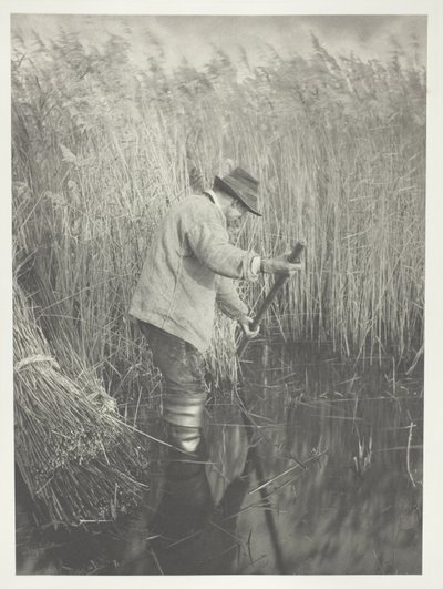 Een rietsnijder aan het werk door Peter Henry Emerson