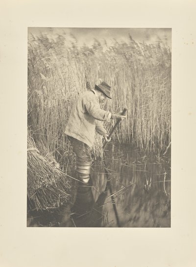  door Peter Henry Emerson