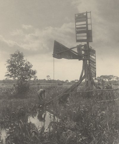 Een Vernielde Watermolen door Peter Henry Emerson