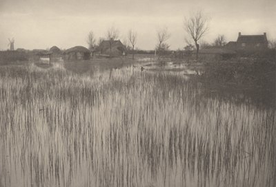 Een rietachtige kust door Peter Henry Emerson