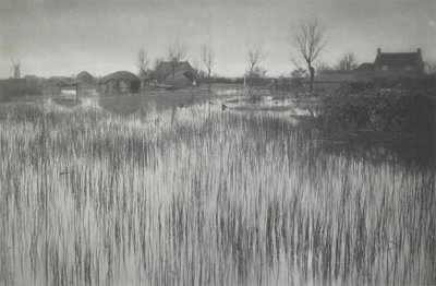 Een Rietachtige Oever door Peter Henry Emerson