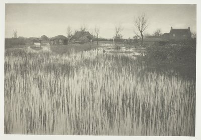 Een woeste kust door Peter Henry Emerson