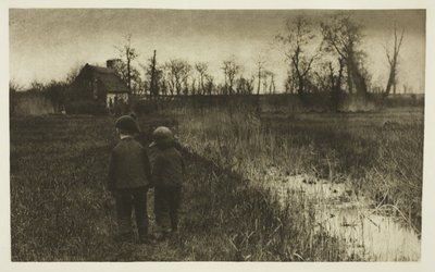 Een pad op het pad: Vroege lente in Norfolk door Peter Henry Emerson