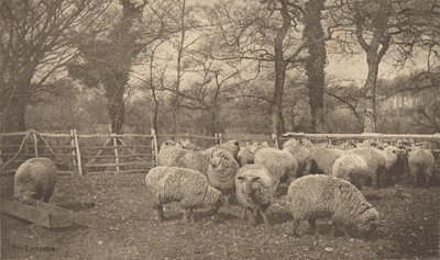  door Peter Henry Emerson