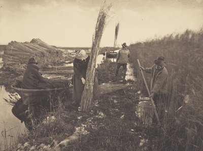  door Peter Henry Emerson