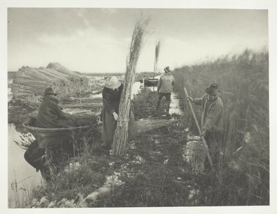 Tijdens de rietoogst door Peter Henry Emerson