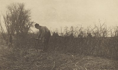 Omheiningen in Suffolk door Peter Henry Emerson