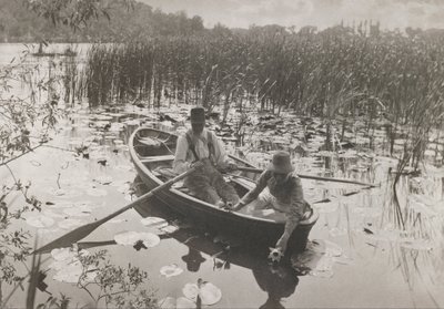Waterlelies Verzamelen door Peter Henry Emerson