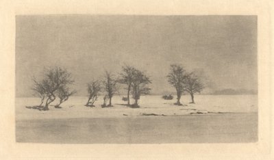 Knoestige Doornbomen door Peter Henry Emerson