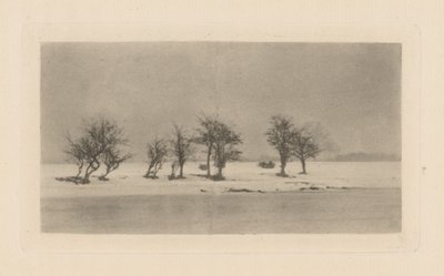 Knoestige Doornbomen door Peter Henry Emerson