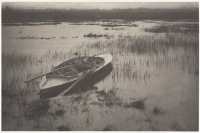  door Peter Henry Emerson