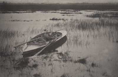 Schutter werkt zich op naar het gevogelte door Peter Henry Emerson
